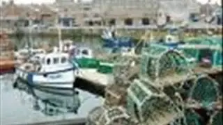 Freek Wave, Scots Doric Poem, A True Story in Poem