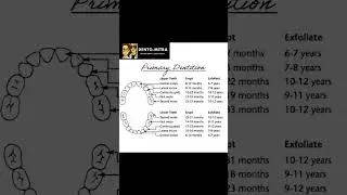 eruption sequence #bds #pediatricdentistry #mds  #endodontics #dentistry #dentistry #dentaldegree