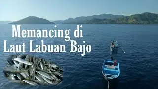 HASIL PUAS  II Rinta Dengan Mata Kail Puluhan  #mancing #ikan #handline #spotmancing