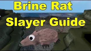 Brine Rat Slayer Task Guide + Raw Shark Method For HCIM/IM