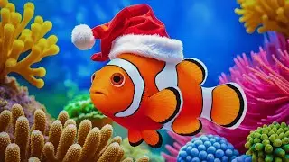 The Best Aquarium 4K Ultra HD 🐠 Stunning Coral Fish & Jellyfish - Relaxing Music for Sleep #10