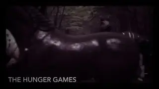 Hunger games schleich style!