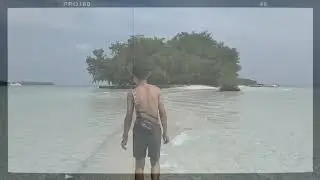 Pulau dolphin