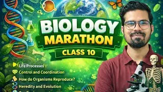 Oxygenation Tutorials is live
