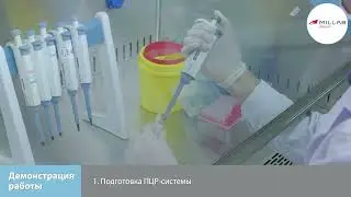 Амплификаторы ДНК в реальном времени Gentier 96