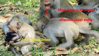 Unbelievable Mom Jane very angry & attacked Janet cruelly chasing out cos Janet b.i.t.i.ng Janna.