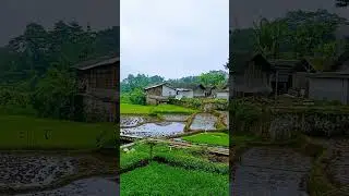 menembus gerimis pagi
