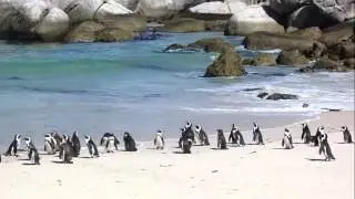 Kinderprojekt und Eindr&uuml;cke von S&uuml;dafrika