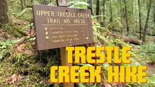 Brice Creek Trail to Trestle Falls (thru hike)