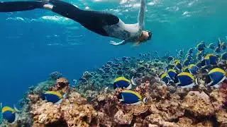 GoXtreme Black Manta Action Cam