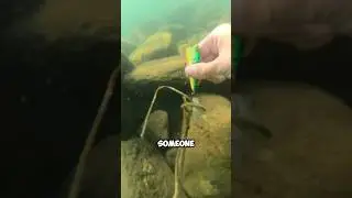 What Happens when you Lose a Lure!