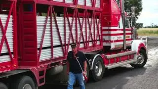 MLA Transport Hub 2025