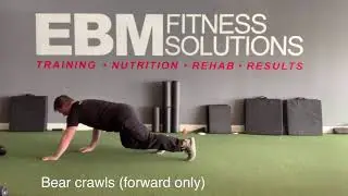 Bear crawls (forward) - EBM Fitness Solutions
