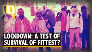 Loss of Livelihood Makes Migrant Workers Walk From Rajasthan to Bihar  | The Quint