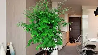 Elegant control of high temperature, aesthetic wisdom of color and material