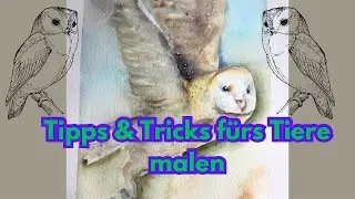 Aquarell-Eule | Tipps & Tricks fürs Tiere malen