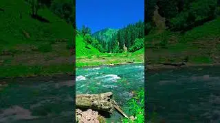😍😍 #explorekashmir #travel #beautifuldestinations #kashmirtrip #crew #beautifulplaces #kashmirvlog