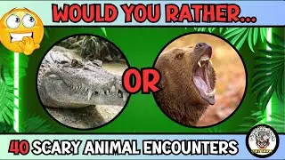 Sharks, Snakes, and Bears! 40 Scary &ldquo;Would You Rather&rdquo; Questions