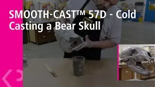 SMOOTH-CAST&trade; 57D - Cold Casting a Bear Skull