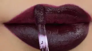 Kylie Vixen Lip Kit