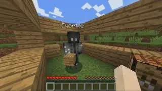 The Unknown Entity (Zero) - Minecraft Sighting