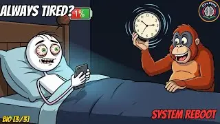 The Recharge - Why You Wake Up Tired and How to Fix It (The Biological Fix)