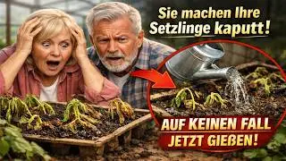 Sie machen Ihre Setzlinge mit den eigenen H&auml;nden kaputt! Das ist der Zeitpunkt, wann Sie sie AUF KE