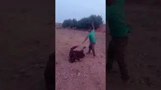 الجزء ثاني فيلم الورث خوت مضاربين هههه كمل تال لخر الهربه القائد العيادي الجزء 2 مزل الجديد #المغرب 