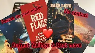 Person on your mind : Current Feeling for you💞No contact/Separation🥵 Next Move🫣tarot card reading