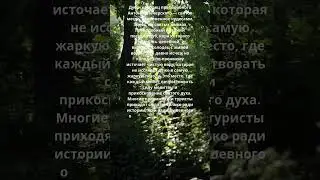 Дуб и колодец преподобного Антония Печерского &mdash; святое место, наполненное чудесами.