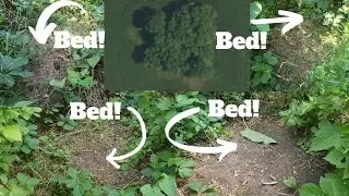 Creating Easy Deer Bedding in Big Ag Country