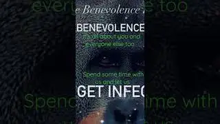 The Benevolence Factor 2023