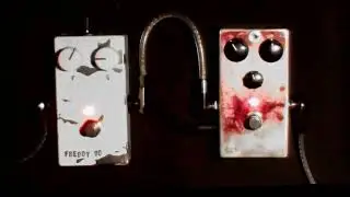 Black Cat OD-1 / CAE Freddie Fuzz d&eacute;mo dynamique au volume de guitare et pouss&eacute;e avec Crunch Box