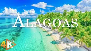 Alagoas 4K - Turquoise Seas and Endless Coconut Palms with Relaxing Music - 4K Video Ultra HD