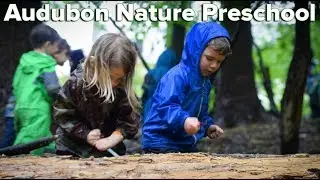 Audubon Nature Preschool: Educational Philosophy
