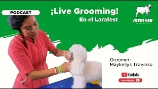 Concurso de Peluquer&iacute;a Canina en el Larafest