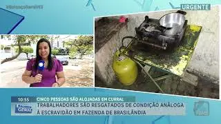 Trabalhadores s&atilde;o resgatados de condi&ccedil;&atilde;o an&aacute;loga &agrave; escravid&atilde;o em fazenda de Brasil&acirc;ndia