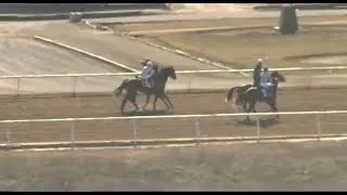 RACE 1 -Will Rogers Downs- USA 12 JAN 2026