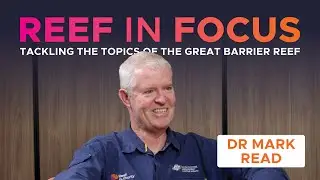 The marine turtle's journey of prehistoric proportions ft Dr Mark Read