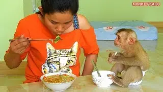 Mom Cooking Noodles And Vegetable For Baby Monkey Kako For Lunch