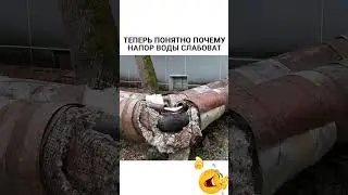 Теперь Понятно🤣#юмор#мем#прикол#смех#жиза#анекдоты#шутки#смешнойшортс#комик#shorts#memes#угар#ржака