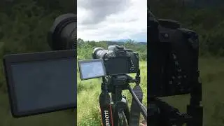 Nature Photography sri lanka canon 700 d 75-300mm lens #shotsvideo 👋 #canon #canonlens #canoncamera
