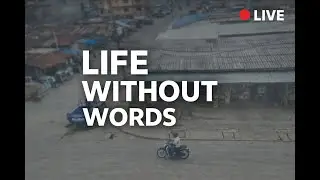 Peaceful Street View Live | Real Life in Silence