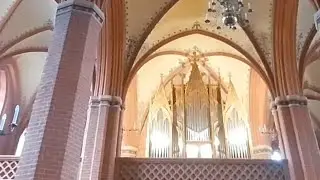 Parchim Sankt Georgen Kleines Orgelkonzert