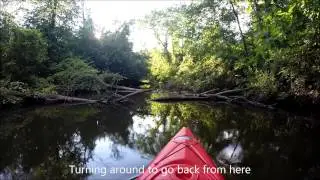 Kayaking Nankin Lake, Middle Rouge River, Dam, Livonia, MI [HD] 23 min