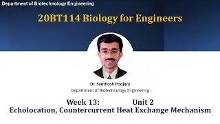 Week 13 - Unit 2: Echolocation, Countercurrent Heat Exchange Mechanism  [Dr. Santhosh Poojary]