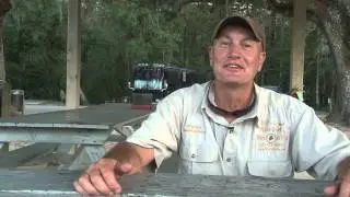steve rice 2