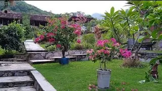 MEMANTO SUASANA SEKITAR VILLA Bapake Desy sedang live sekarang!