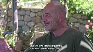 Lost and Found: A brief History of Manarolia