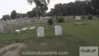 Silverbrooke cemetary cct1021
